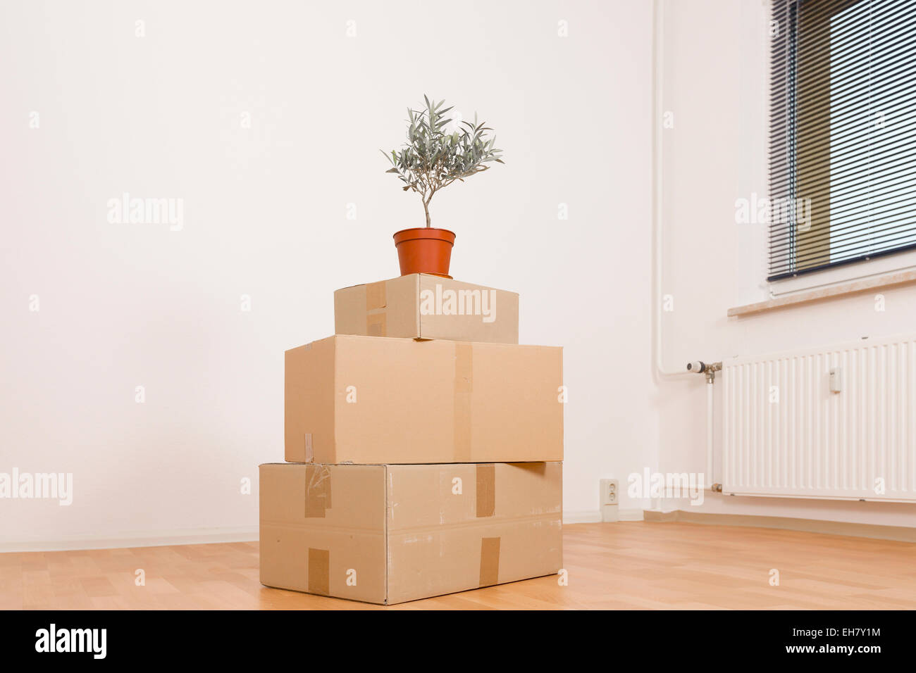 Growing moving boxes hires stock photography and images Alamy