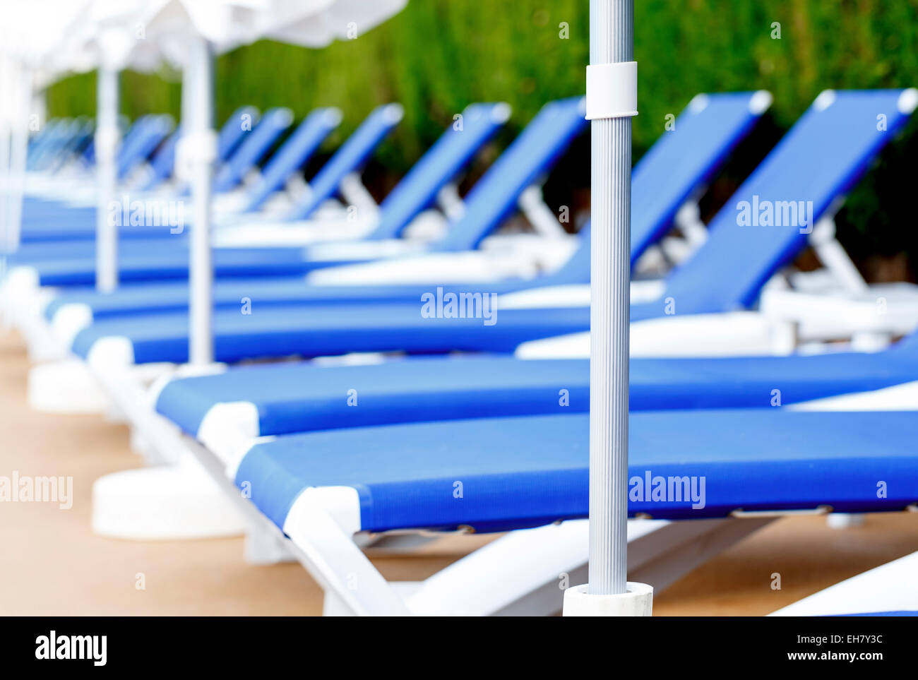 Sunloungers in a row Stock Photo