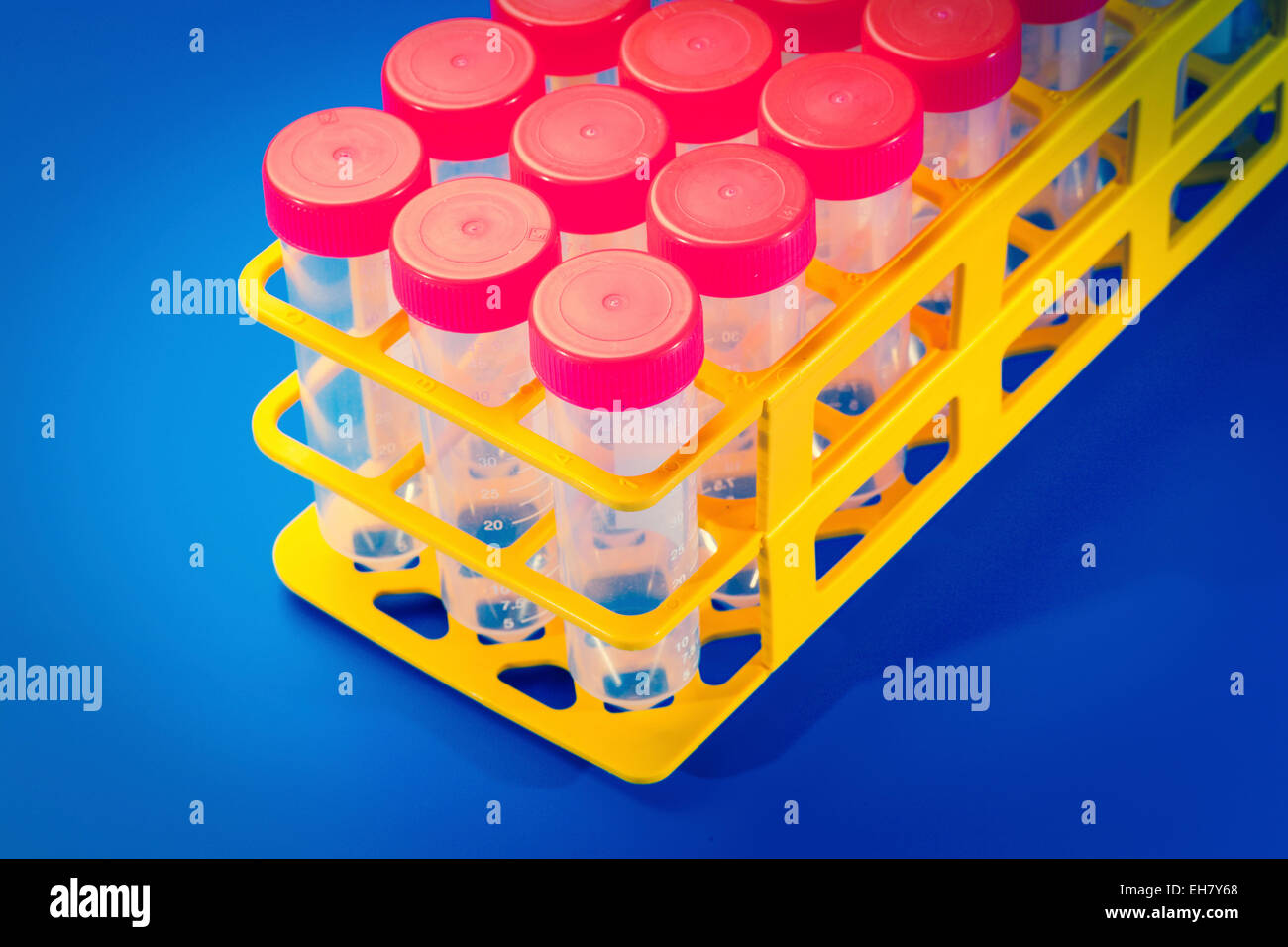 Test tubes in a rack Stock Photo Alamy