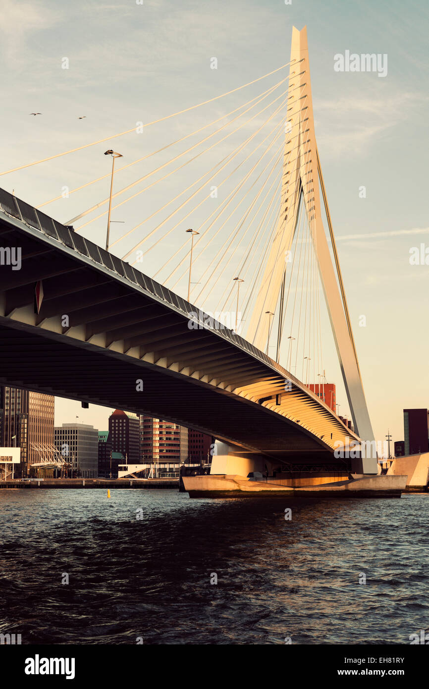 Erasmus Bridge at sunset. Rotterdam, South Holland, Netherlands. Stock Photo