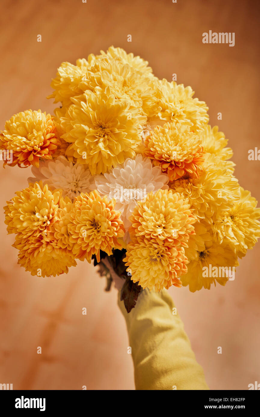 Giving Flowers High Resolution Stock Photography and Images Alamy