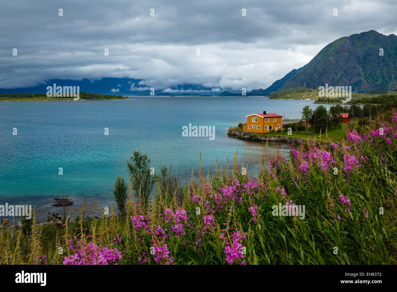 Lofoten Islands, Arctic, Norway, Scandinavia, Europe Stock Photo