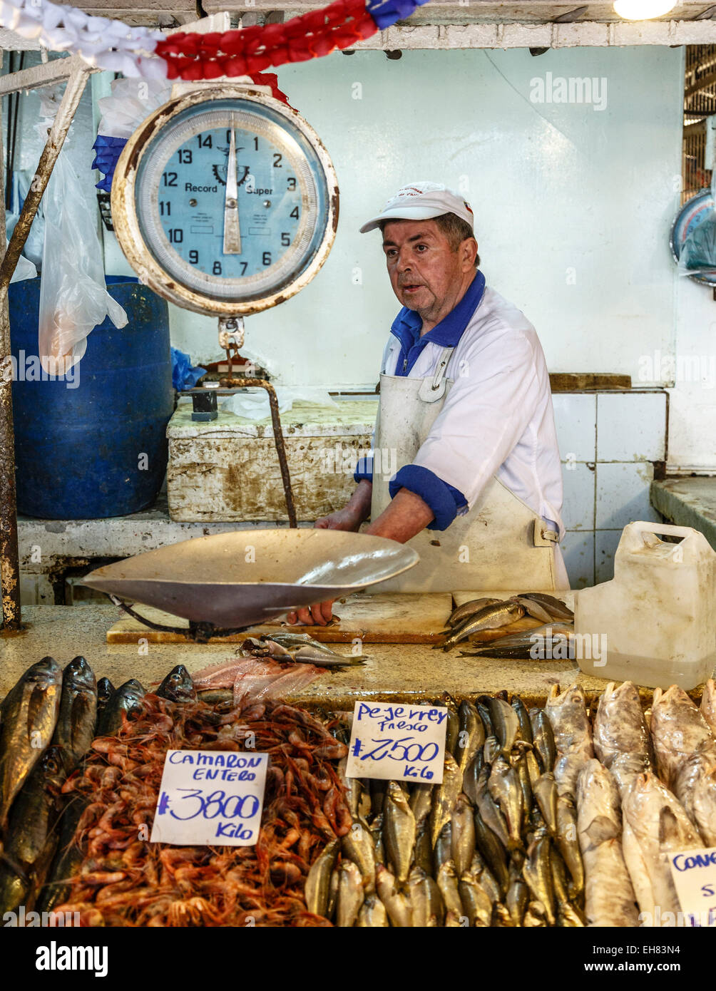 Fish and seafood stall at Mercado Central, Santiago, Chile, South America Stock Photo
