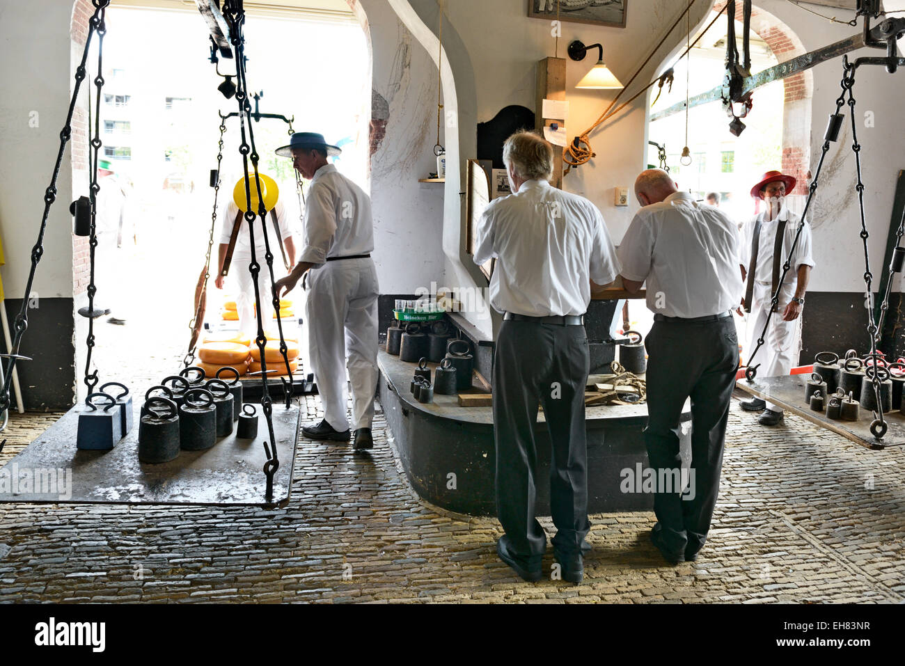 Weighing cheese wheels in the weighing house, Friday cheese market, Waagplein Square, Alkmaar, North Holland, Netherlands Stock Photo