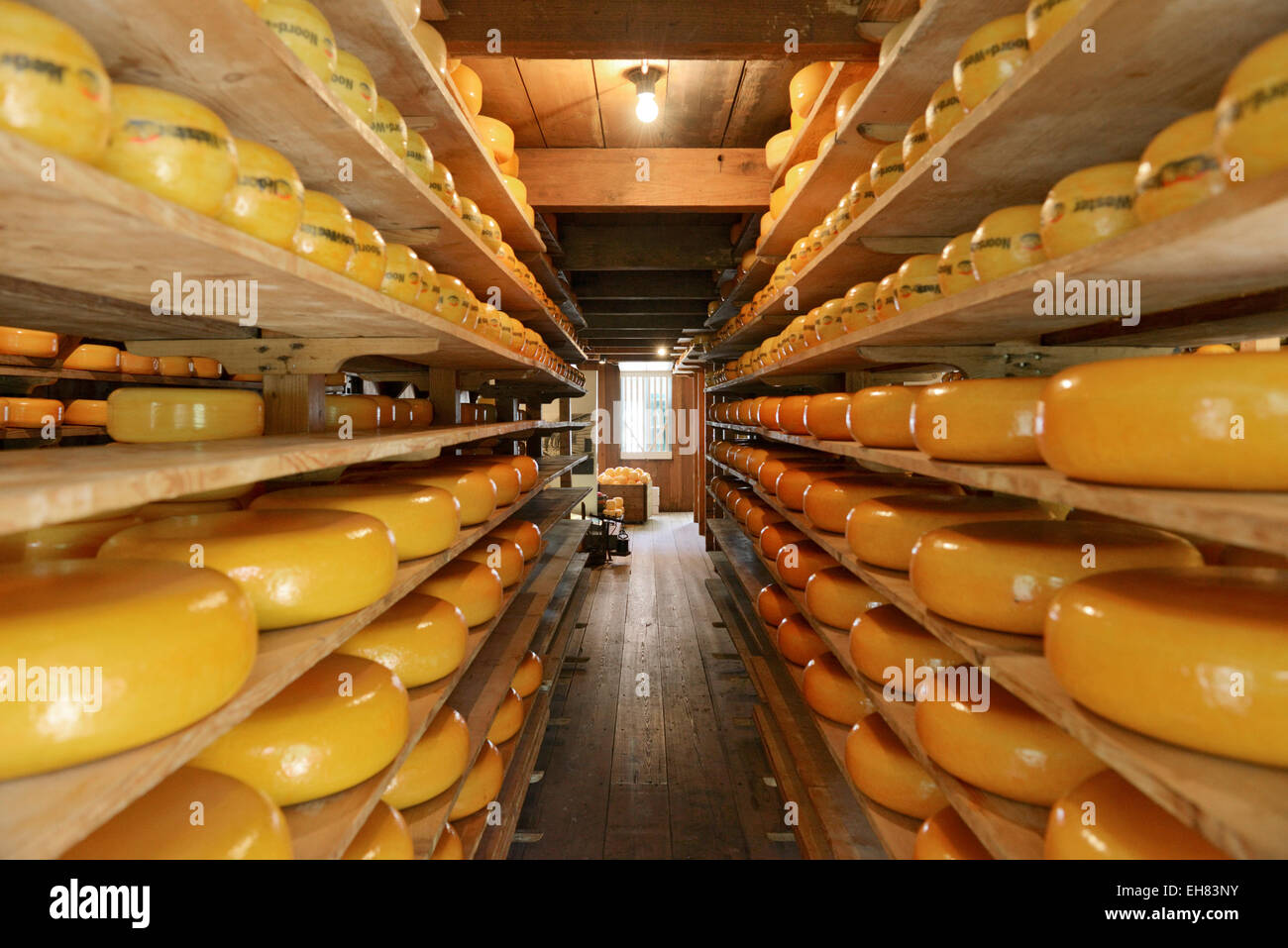 Cheese warehouse, Zuiderzee open air museum, Lake Ijssel, Enkhuizen, North Holland, Netherlands, Europe Stock Photo