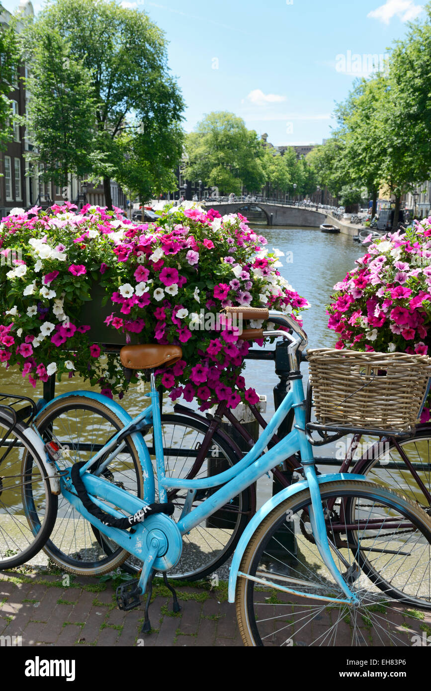 Brightly coloured blue bicycle and flower baskets on a bridge over a canal, Utrechtsestraat, Amsterdam, Netherlands Stock Photo