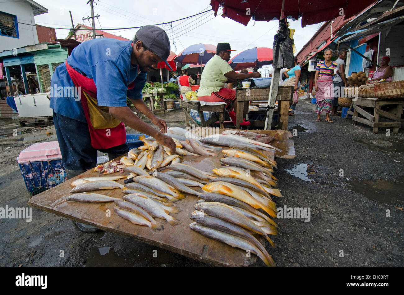 Fish stall in Stabroek Market, Guyana, South America Stock