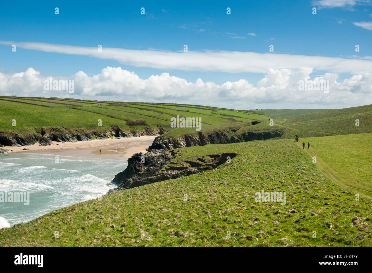Walkers on the coast path above Porth Joke beach near Newquay in Cornwall on a sunny spring day. Stock Photo
