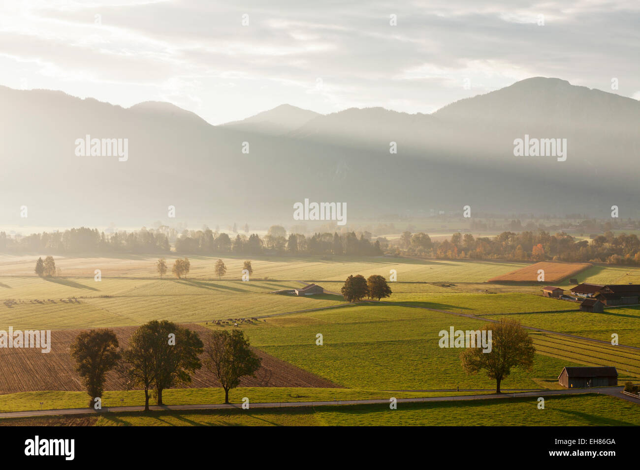 Kochelmoos Moor, Hay Huts, Bavarian Alps, Upper Bavaria, Bavaria, Germany, Europe Stock Photo
