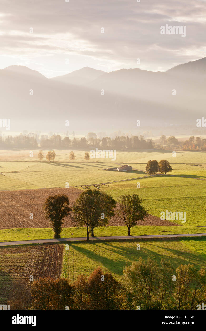 Kochelmoos Moor, Hay Huts, Bavarian Alps, Upper Bavaria, Bavaria, Germany, Europe Stock Photo