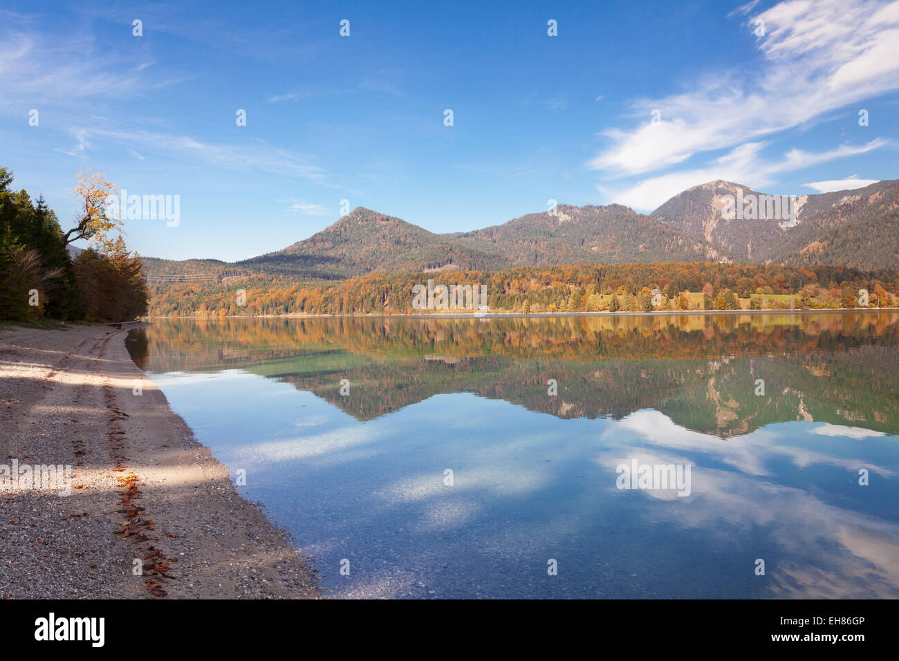 Herzogstand Mountain, Heimgarten Mountain reflecting in Walchnsee Lake in autumn, Bavarian Alps, Upper Bavaria, Bavaria, Germany Stock Photo