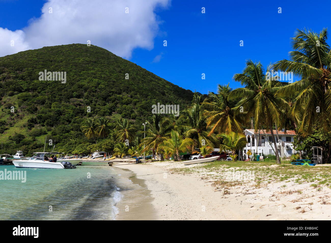 Police station on beach, green hill and palm trees, Great Harbour, Jost Van Dyke, British Virgin Islands, West Indies, Caribbean Stock Photo