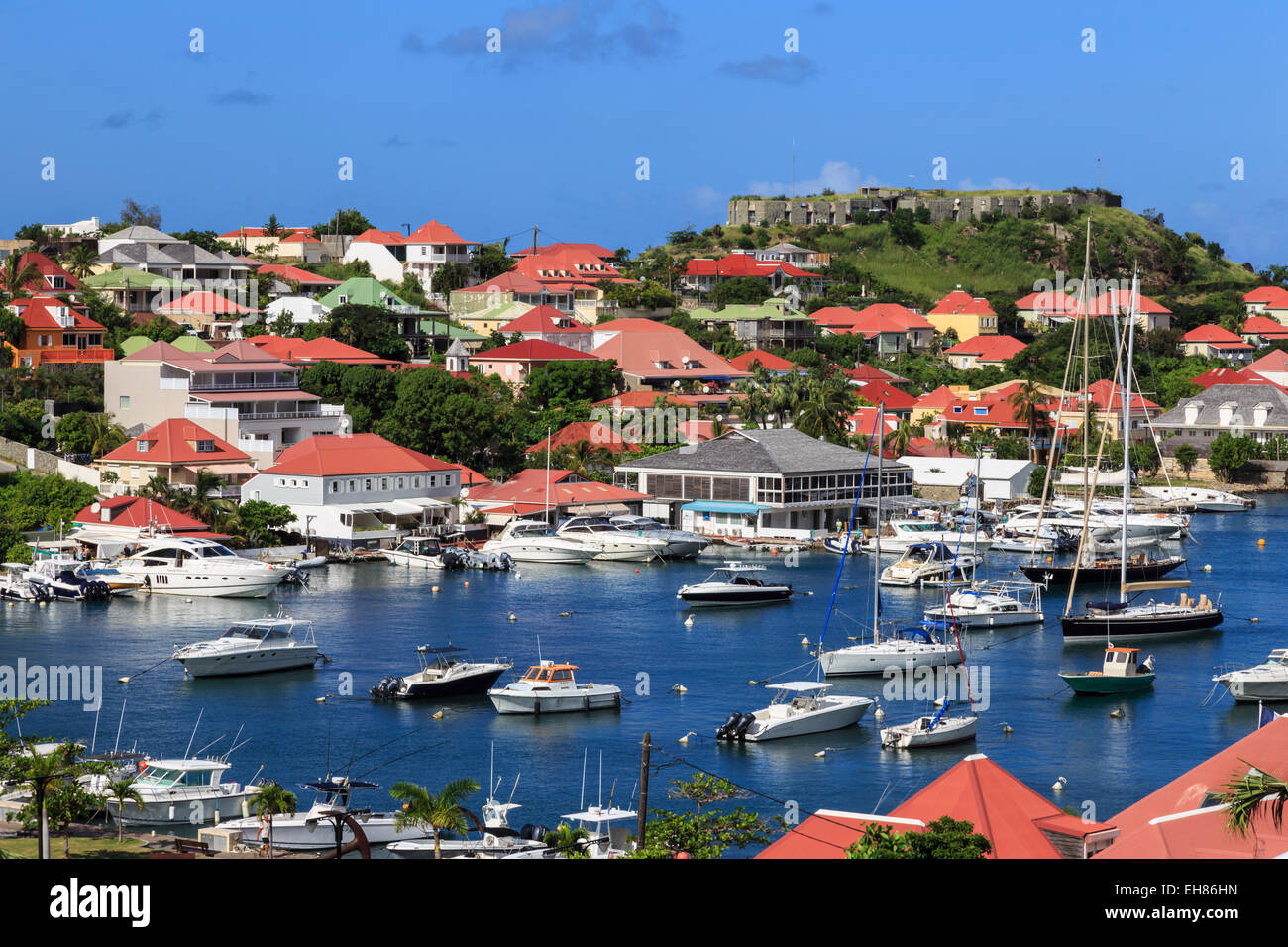 Elevated view of harbour, Gustavia, St. Barthelemy (St. Barts) (St. Barth),  West Indies, Caribbean, Central America