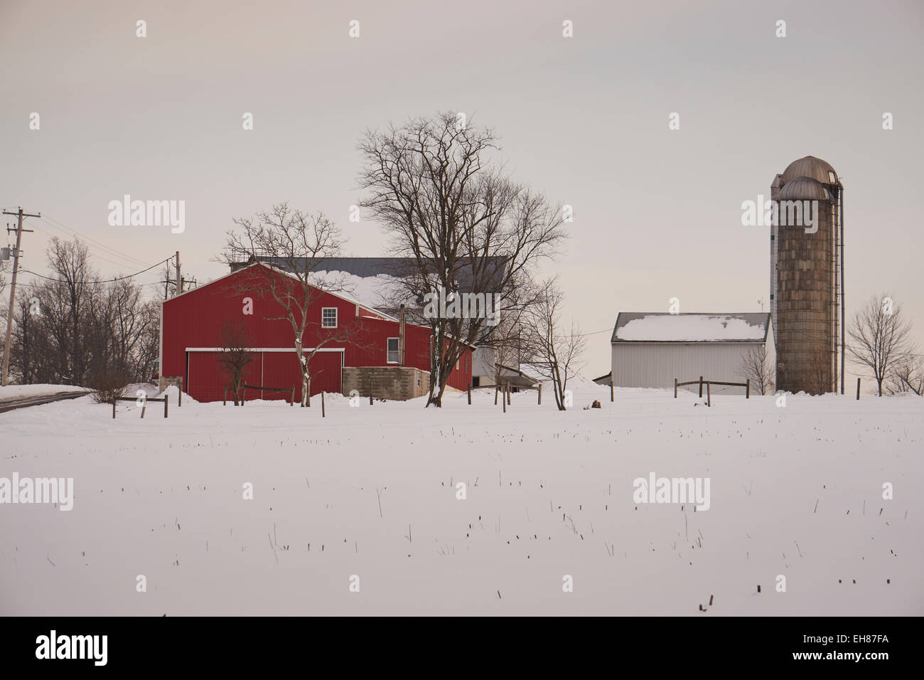Farm in winter, Fivepointville, Lancaster County, Pennsylvania, USA