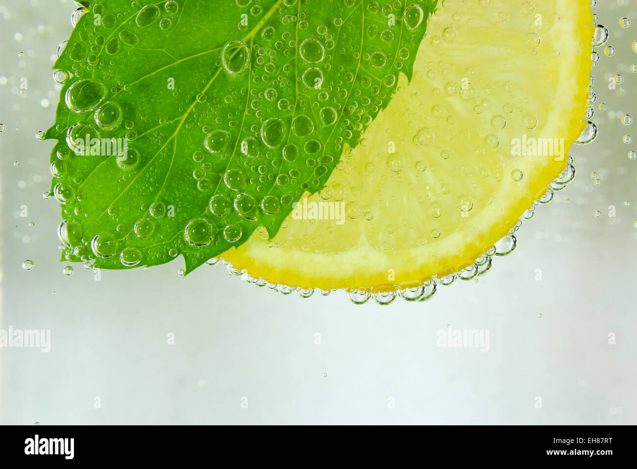 Lemon slice, mint leaf and soda Stock Photo