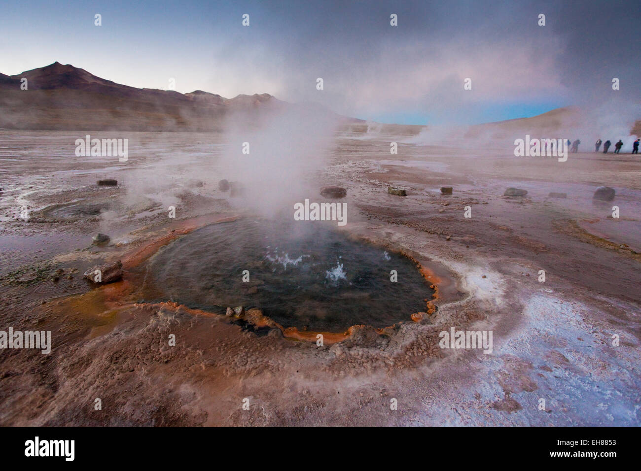 The geyser field of El Tatio, Chile, South America Stock Photo