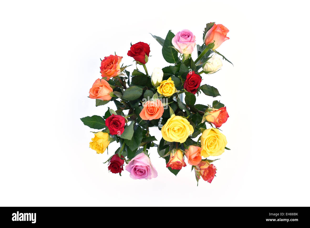 Bouquet of colourful roses Stock Photo