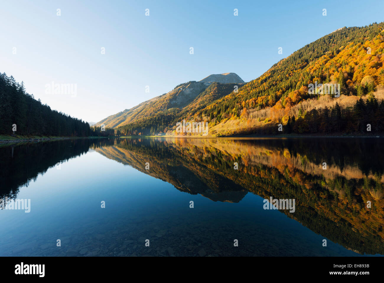 Lac de Montriond, alpine lake, Morzine, Rhone Alps, Haute Savoie, France, Europe Stock Photo