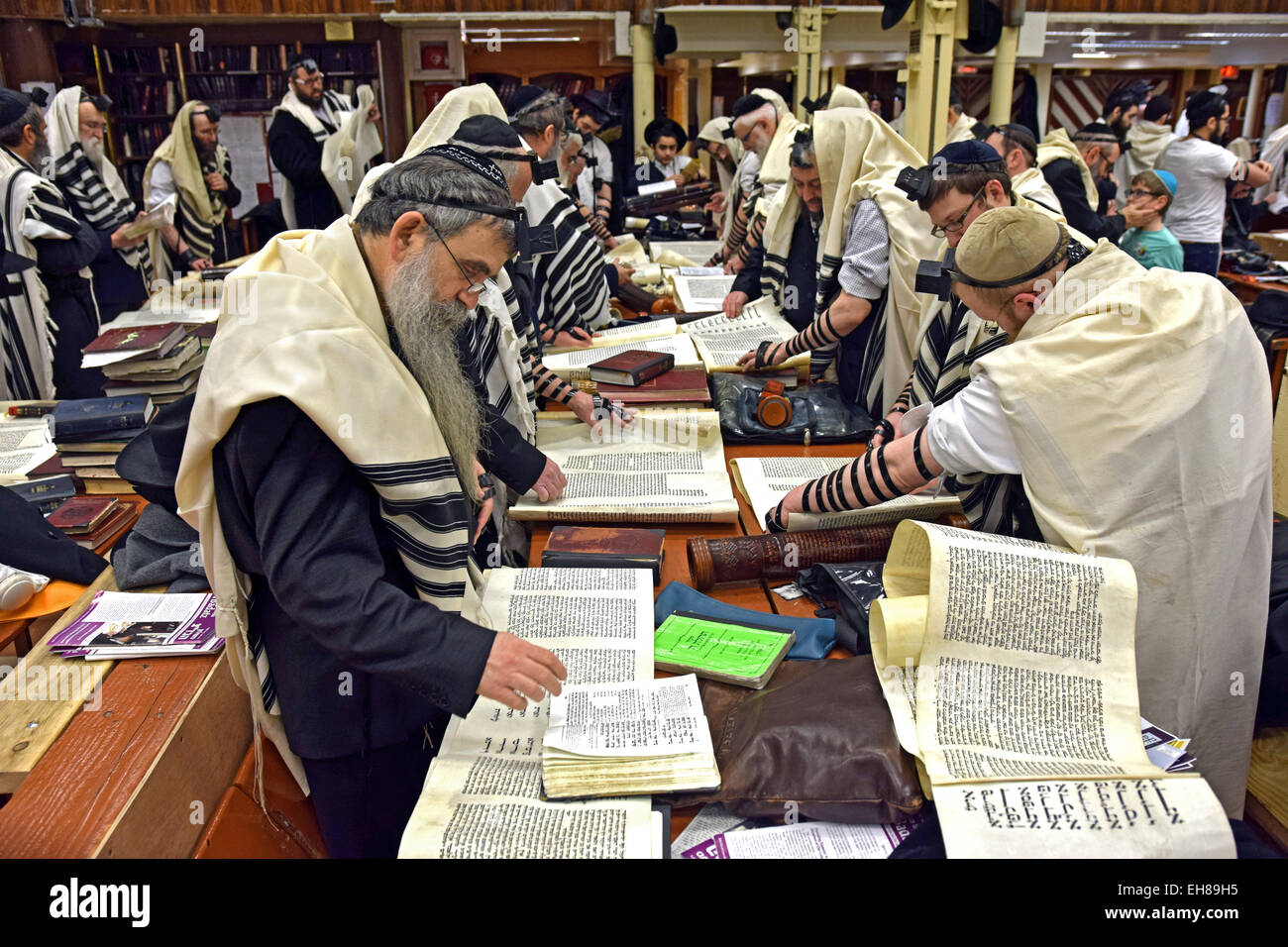A group of ultra religious Jewish men read the Megillah on Purim at a synagogue in Brooklyn, New York. Stock Photo