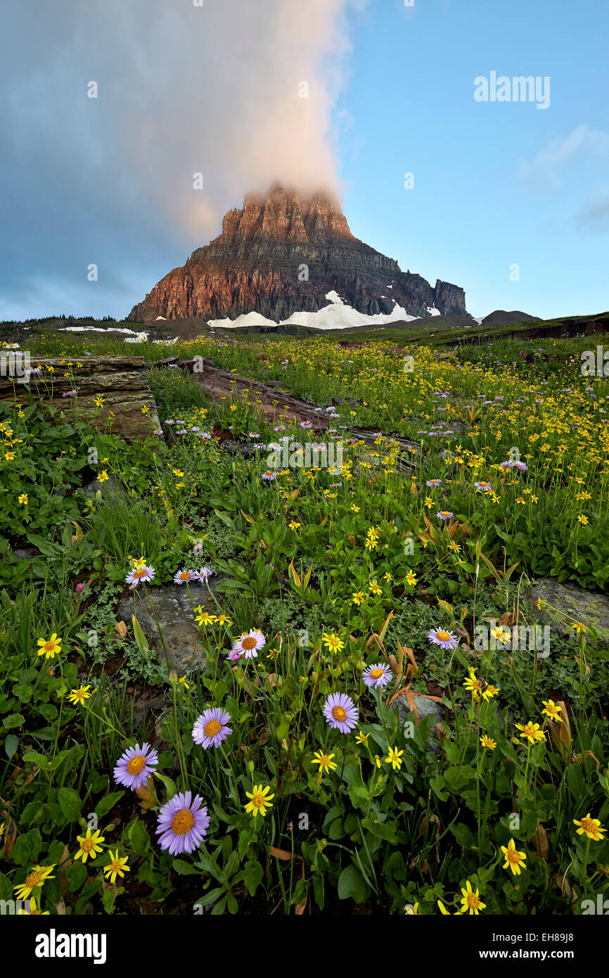 Alpine meadow, Glacier National Park, Montana, United States of America, North America Stock Photo