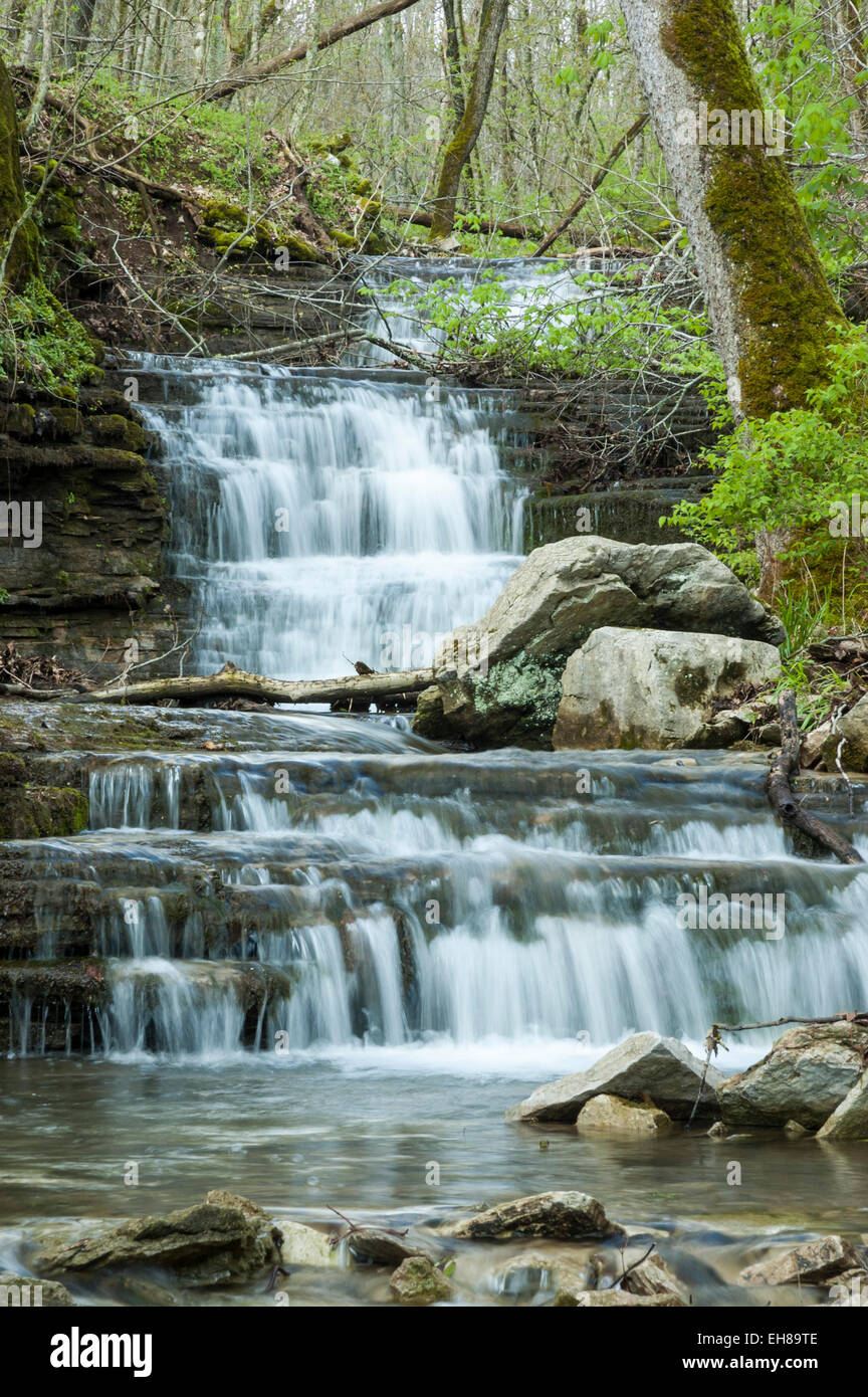 Waterfalls on Trimble Creek in the Lower Howard's Creek Nature and