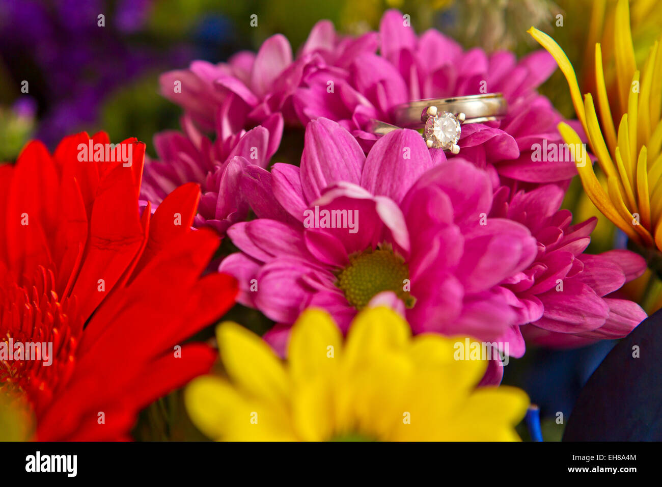 wedding rings resting on pretty pink flowers Stock Photo