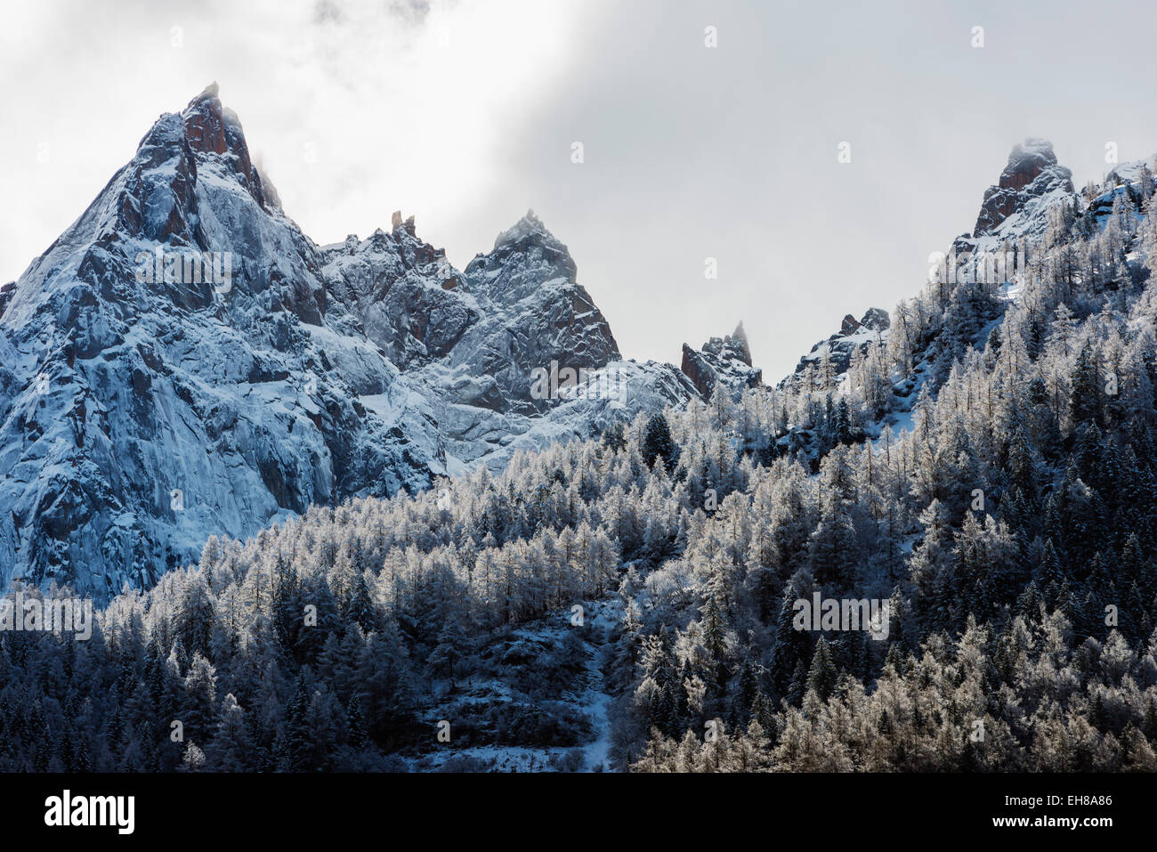 Europe, France, Haute Savoie, Rhone Alps, Chamonix Valley, fresh snow on high mountains Stock Photo