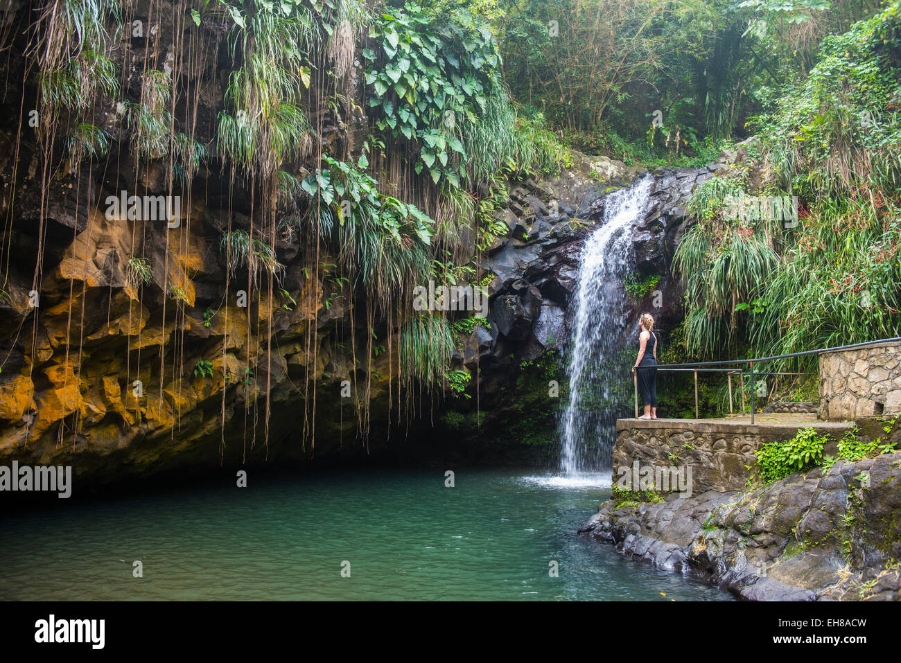 Grenada waterfall annandale hires stock photography and images Alamy