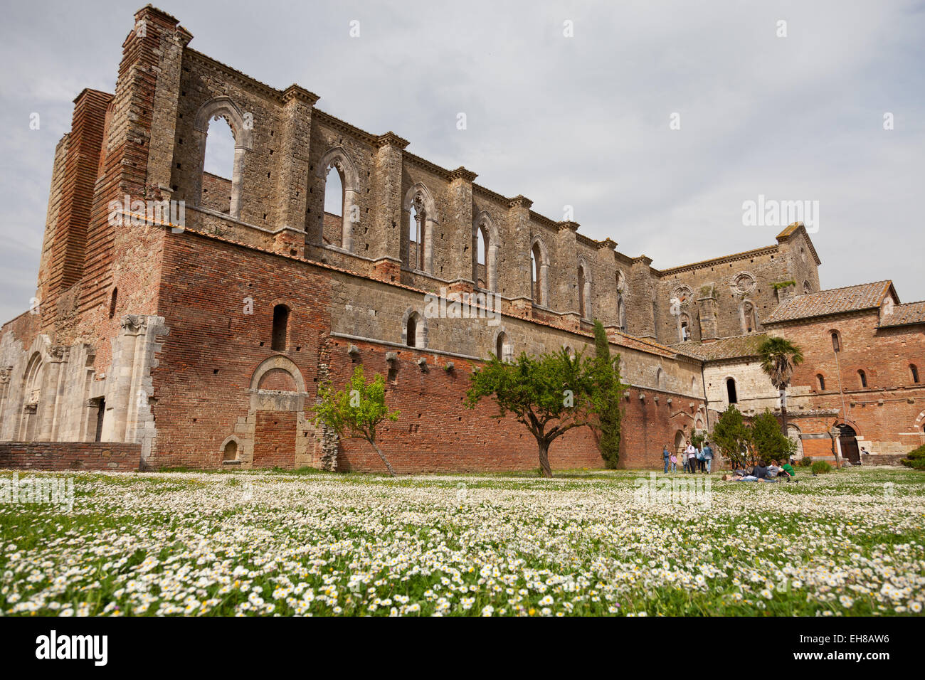 San Galgano Abbey ruins in Chiusdino, Siena, Tuscany, Italy, Europe Stock Photo