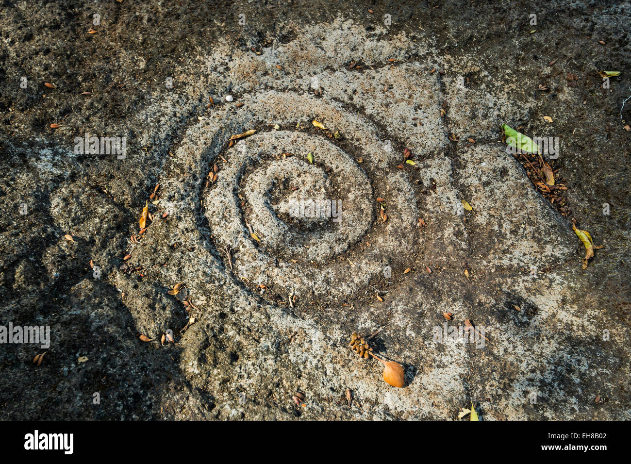 Circular motif petroglyph on rock at Finca Magadalena in the east, Volcan Maderas, Omotepe Island, Lake Nicaragua, Nicaragua Stock Photo