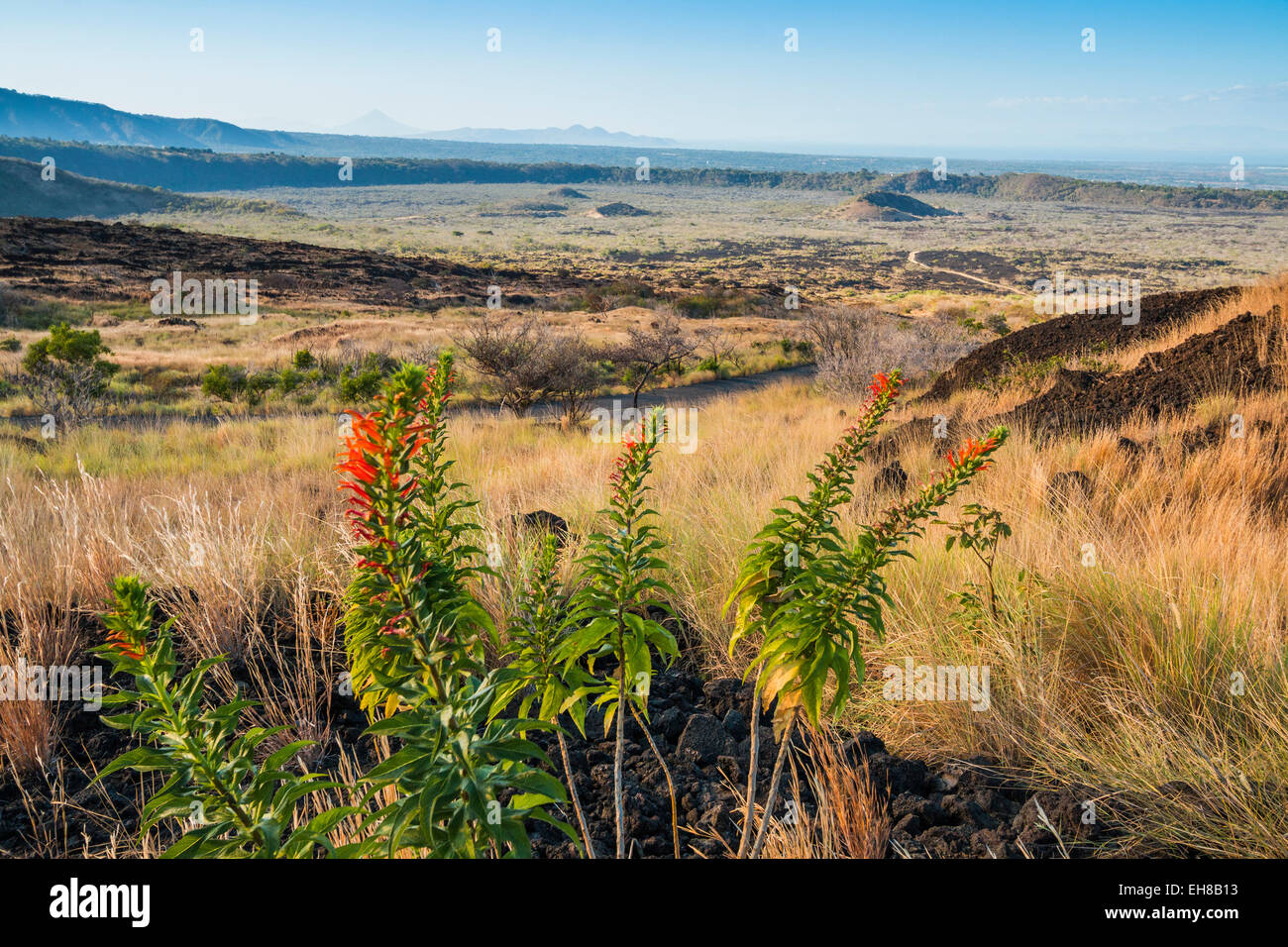 Volcanic landscape of the Masaya caldera, Nicaragua's first national park, with craters and a'a blocky lava, Masaya, Nicaragua Stock Photo