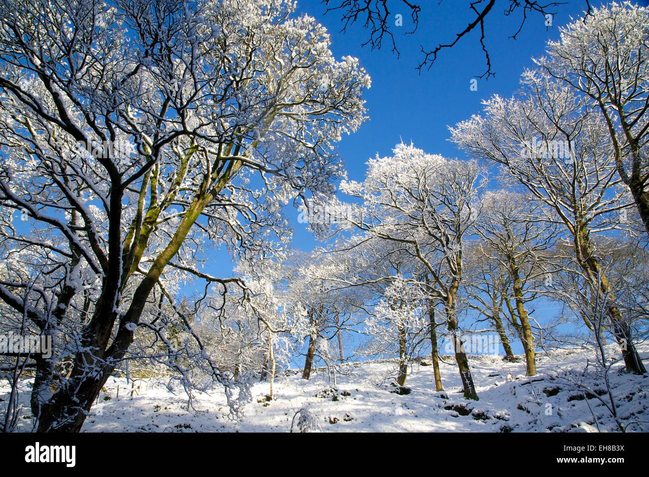 Snow scene on Snake Pass, Peak District National Park, Derbyshire