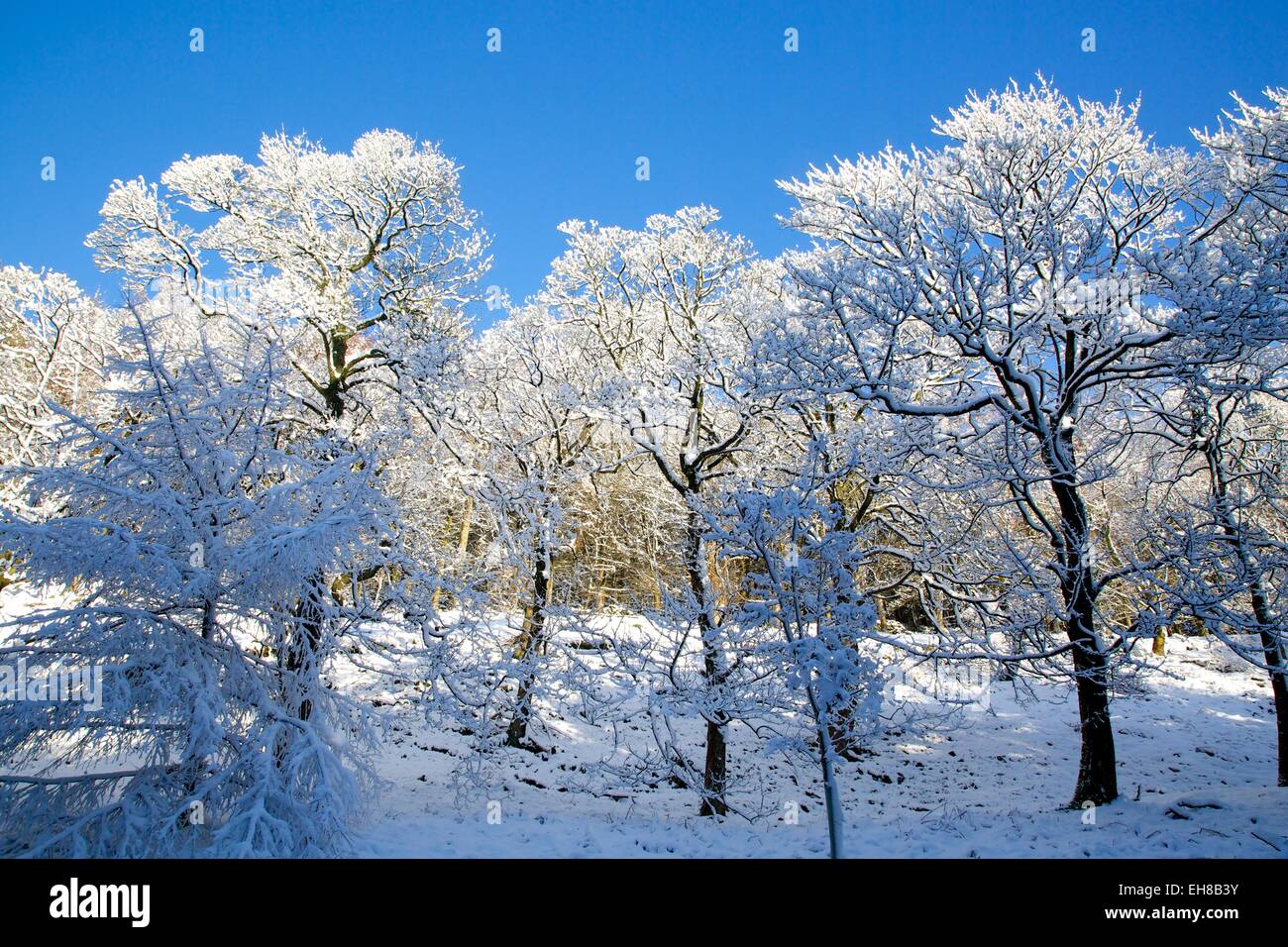 Snow scene on Snake Pass, Peak District National Park, Derbyshire
