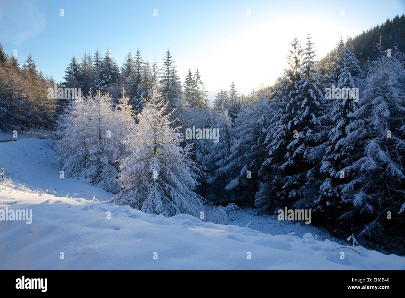 Snow scene on Snake Pass, Peak District National Park, Derbyshire
