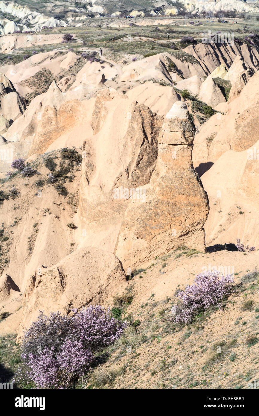 Fairy chimney rock formation and unusual arid, rocky landscape near ...