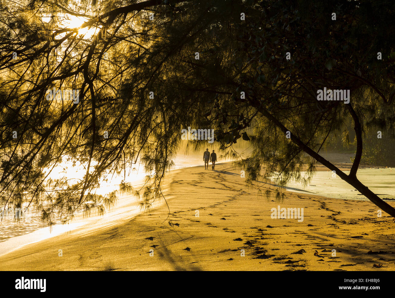People walking along the beach at dawn with sunlight dappling through leaves Stock Photo