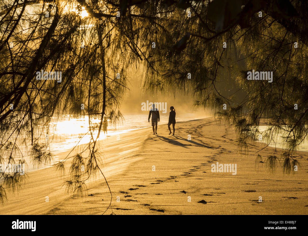 Couple walking along a Hawaiian beach at dawn with sunlight dappling through leaves Stock Photo