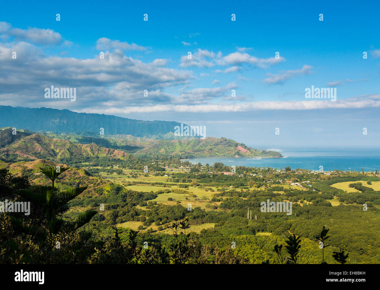 View of Hawaii landscape, over Hanalei Bay and Na Pali mountains from Okolehao Trail near Hanalei, Kauai Stock Photo