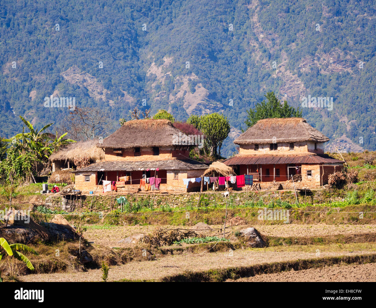 Traditional houses in the small village of Makanpur below Panchase, Kaski, Nepal Stock Photo