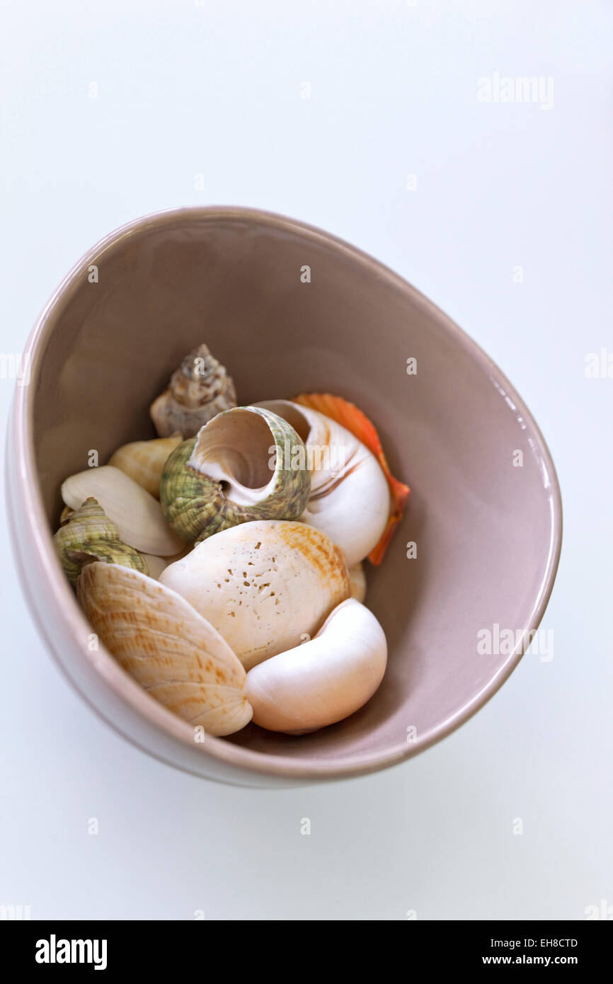 Sea shells decoration in bowl Stock Photo - Alamy