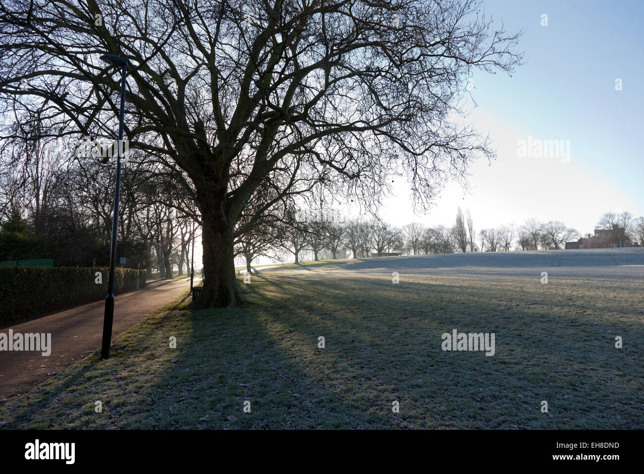 A heavy morning frost covers Hilly Fields Park, Lewisham Stock Photo
