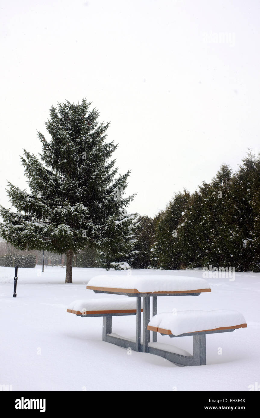 A snow covered bench in a park in London, Ontario in Canada. Stock Photo