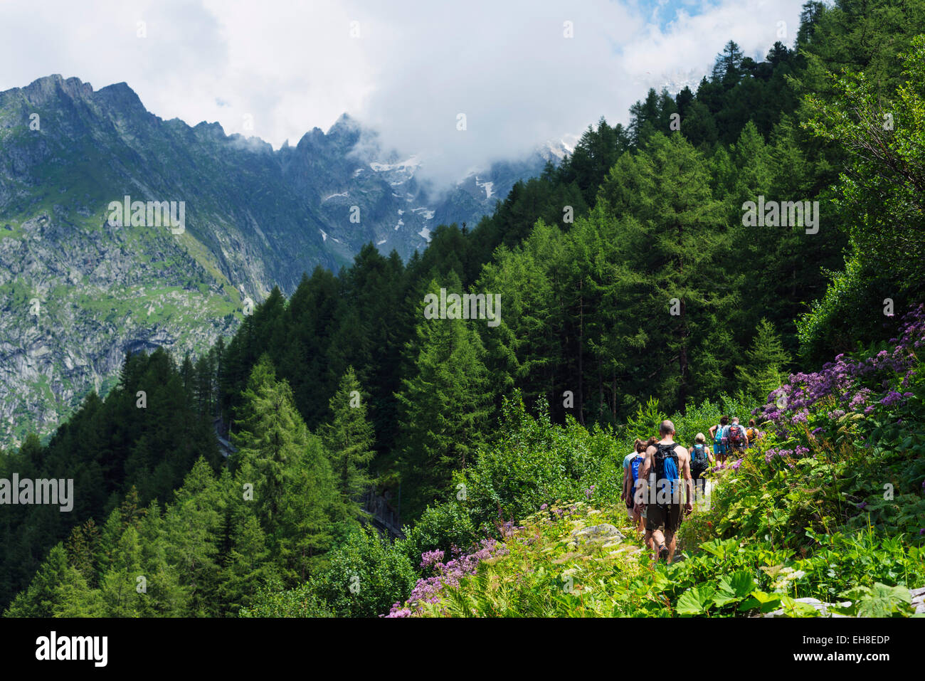Hiking alps hi-res stock photography and images - Alamy