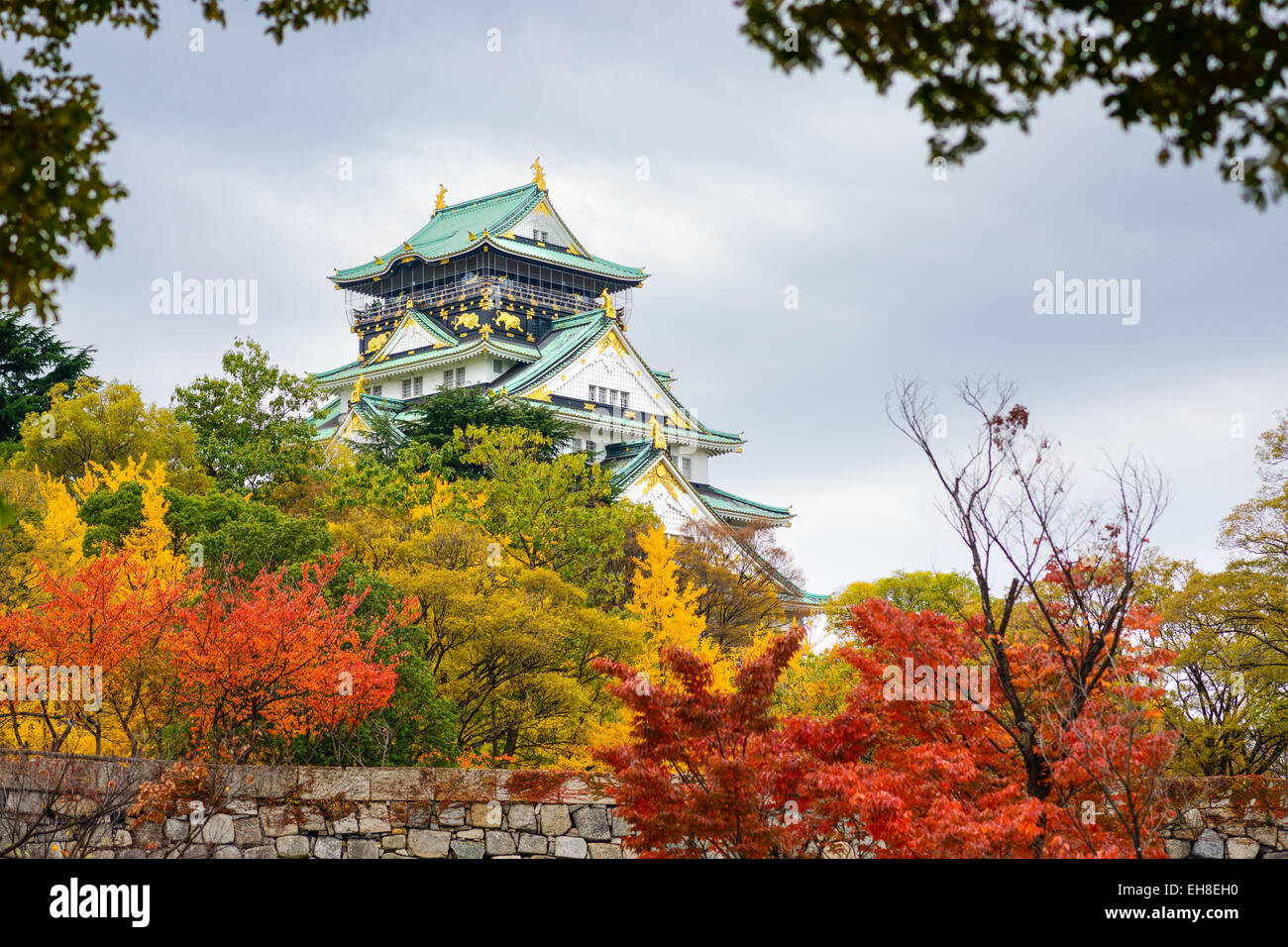 Osaka Castle in the autumn season. Stock Photo