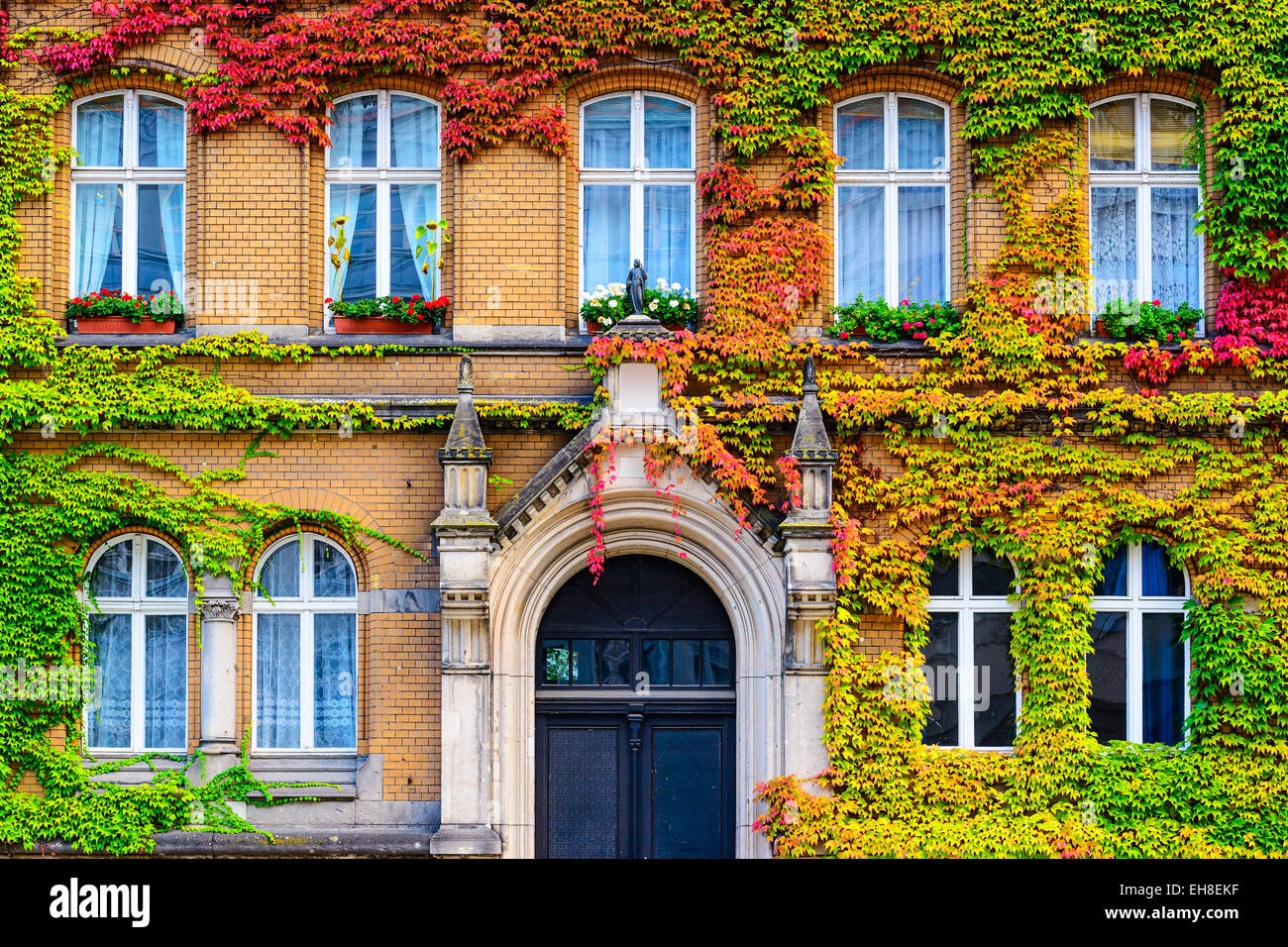 Vine covered building facade in Berlin, Germany. Stock Photo