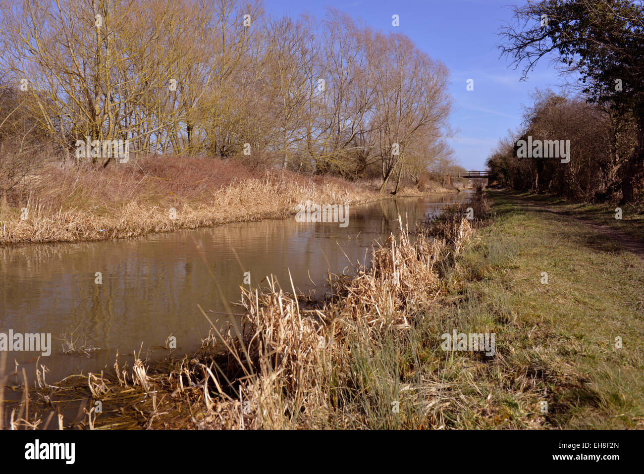 The restored Berks and Wilts canal near Wootton Bassett in Wiltshire Stock Photo