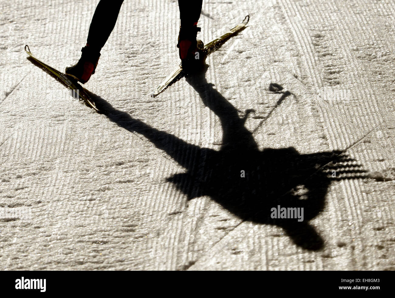 Kontiolahti, Finland. 09th Mar, 2015. A team technican is on the track at the Biathlon World Championships in Kontiolahti, Finland, 09 March 2015. Photo: Ralf Hirschberger/dpa/Alamy Live News Stock Photo