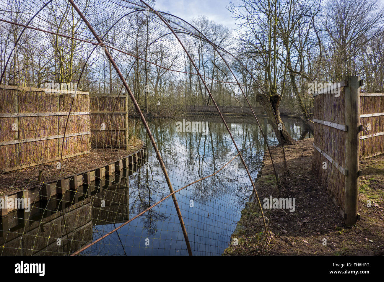 Duck decoy structure used for catching wild ducks showing pond and