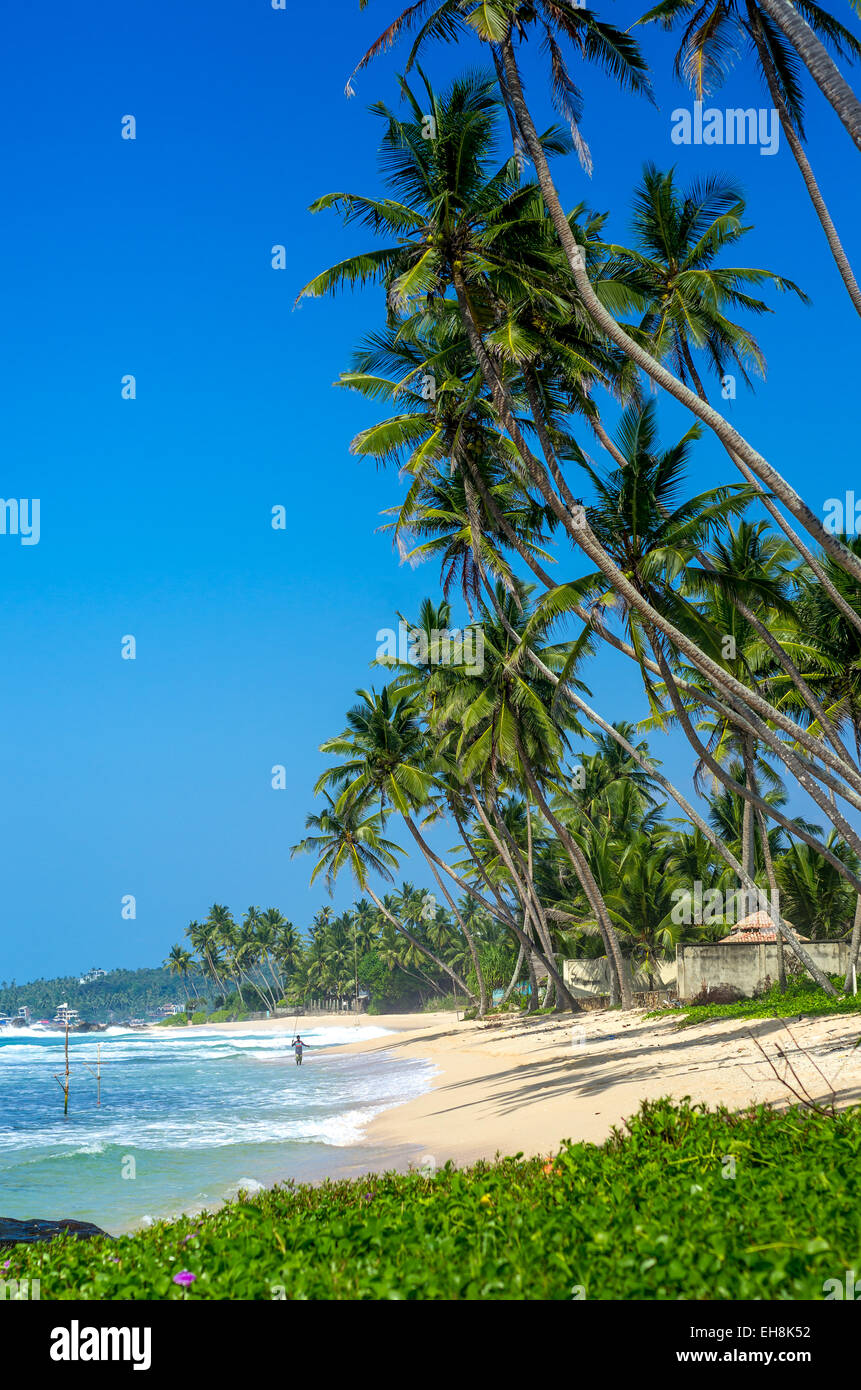 Tropical beach in Sri Lanka Stock Photo