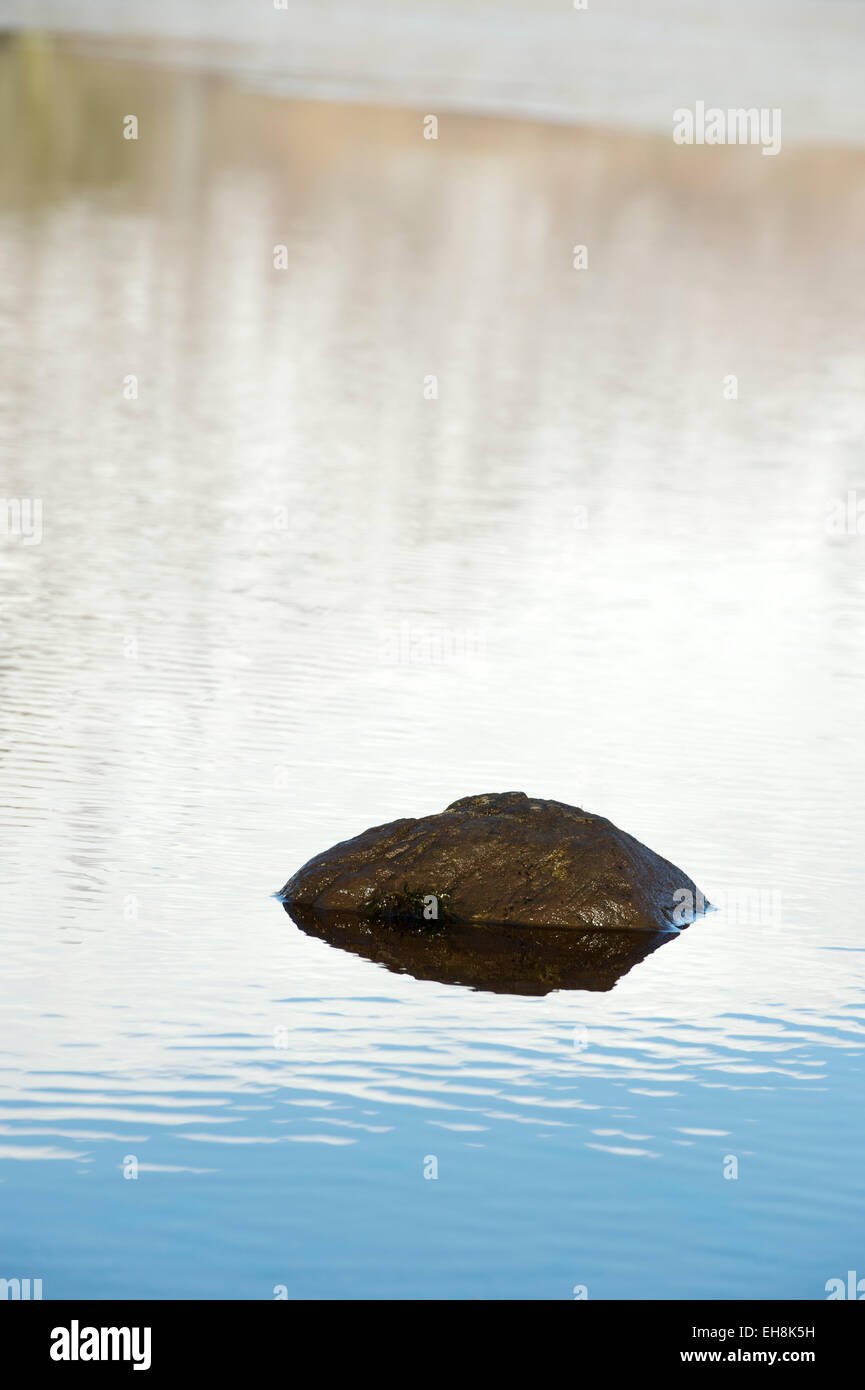 Rock sticking out of a Scottish loch in winter. Loch Awe. Argyll and Bute, Scotland Stock Photo